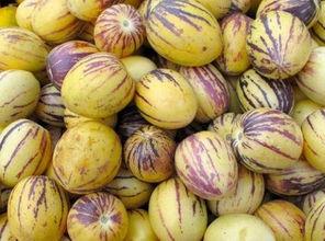 西游记之暗黑人参果,西游记中的神秘果实与命运之谜 第2张 西游记之暗黑人参果,西游记中的神秘果实与命运之谜 第2张