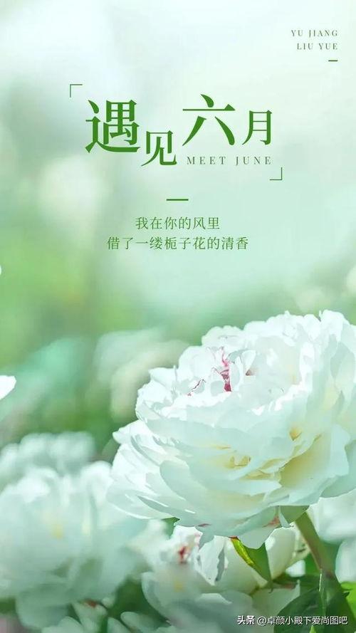 再见六月,告别六月的时光印记