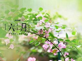 再见六月,告别六月的时光印记 第2张 再见六月,告别六月的时光印记 第2张