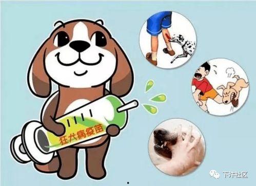 狂犬病 2021,2021年狂犬病疫情回顾与防控策略分析 第2张 狂犬病 2021,2021年狂犬病疫情回顾与防控策略分析 第2张